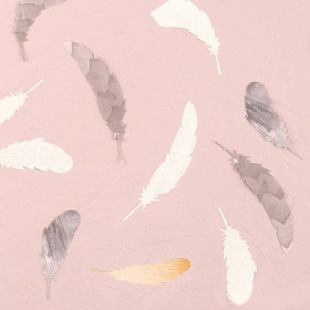 Les confettis plumes (par 18)