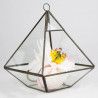 Le terrarium pyramidal en métal et verre 2