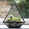 Le terrarium pyramidal en métal et verre 3
