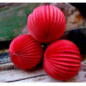 Le lampion accordéon en papier 30,5cm (10 coloris) 5