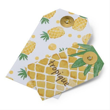 Les 10 étiquettes tag tropique