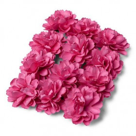 Les 12 pivoines sur tige