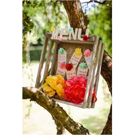 Les 12 pivoines sur tige (6 coloris)