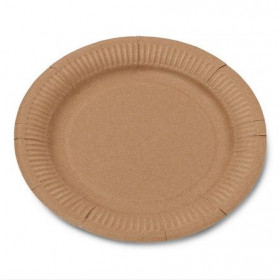 Les 12 assiettes carton kraft 