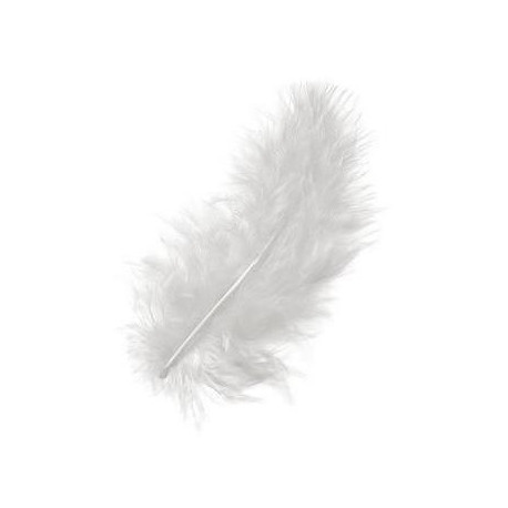 Le sachet de plumes blanches (x 20) Le sachet de plumes blanches (x 20)