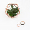 Le porte-alliances boite mini terrarium 1