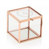 Le porte-alliances cube terrarium logo cercle 0 Le porte-alliances cube terrarium logo cercle 0