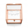 Le porte-alliances cube terrarium logo cercle 1 Le porte-alliances cube terrarium logo cercle 1