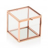 Le porte-alliances cube terrarium logo branche 1