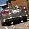 La plaque d'immatriculation Just married 0 La plaque d'immatriculation Just married 0