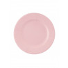 Les 8 assiettes en carton compostable rose 27 cm 0