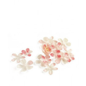 Les pétales de fleur de cerisier