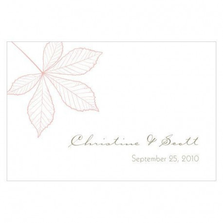 Les 12 cartes 7,6cmx5cm automne