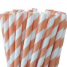 Les 25 pailles à rayures (10 coloris) 6