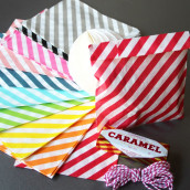 Les 25 sacs en papier diagonale (9 coloris)