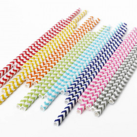 Les 25 pailles chevron (4 coloris)