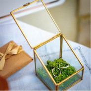 Terrarium Terrarium