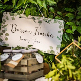 Collection Eucalyptus