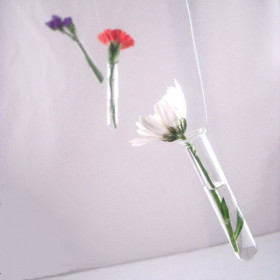 Décoration de salle 